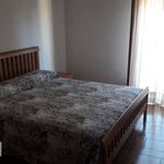 Rent 3 bedroom apartment of 100 m² in Sant'Agata di Militello