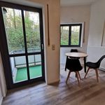 Rent 1 bedroom apartment of 25 m² in Würzburg