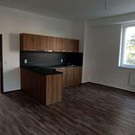 Rent 3 bedroom apartment in Ústí nad Labem