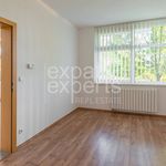 Pronajměte si 1 ložnic/e byt o rozloze 246 m² v Jáchymov