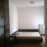 Affitto 1 camera appartamento di 50 m² in Voghera