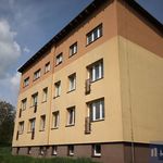 Rent 1 bedroom apartment of 38 m² in Těrlicko