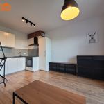 Wynajmij 1 sypialnię apartament z 26 m² w Łódź