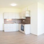 Rent 1 bedroom apartment of 55 m² in Dašice