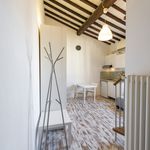 Affitto 1 camera appartamento di 35 m² in Firenze