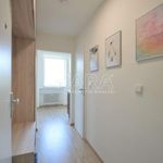 Rent 1 bedroom apartment of 32 m² in Prague