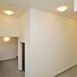 Rent 3 bedroom apartment of 89 m² in Dresden