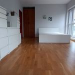 Rent 3 bedroom apartment of 75 m² in Wrocław