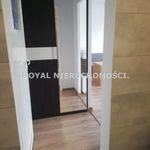 Rent 1 bedroom apartment of 30 m² in Zabrze