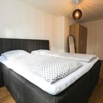 Miete 1 Schlafzimmer haus von 34 m² in Luzern