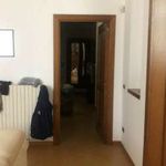 Rent 3 bedroom apartment of 140 m² in Bari