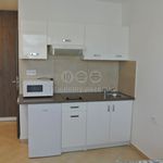 Rent 1 bedroom apartment of 28 m² in Semtín