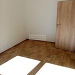 Rent 2 bedroom apartment of 52 m² in Adamov