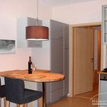 Rent 2 bedroom apartment of 32 m² in Hennef