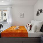 Miete 1 Schlafzimmer wohnung von 35 m² in Mainz