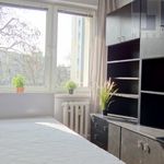 Rent 2 bedroom apartment of 37 m² in Bydgoszcz
