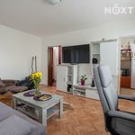 Rent 1 bedroom house in Pardubice