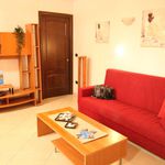 Affitto 3 camera appartamento di 80 m² in Acerra