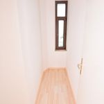 Rent 1 bedroom apartment of 43 m² in Chemnitz