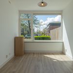 Rent 3 bedroom apartment of 85 m² in Krommenie