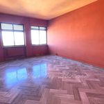 Rent 4 bedroom apartment of 130 m² in Foggia