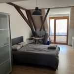 Rent 2 bedroom apartment of 61 m² in Graz