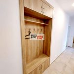 Rent 1 bedroom apartment of 60 m² in Olomouc