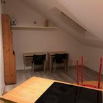 Rent 1 bedroom apartment of 45 m² in Krakow
