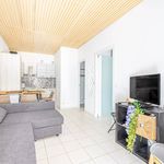 Rent 2 bedroom apartment of 29 m² in Albert