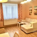Rent 2 bedroom apartment of 50 m² in Mladá Boleslav