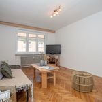 Rent 2 bedroom apartment of 63 m² in Mezibori
