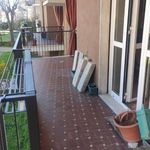 Rent 4 bedroom apartment of 100 m² in Pavia