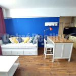 Rent 2 bedroom apartment of 58 m² in Číhošť