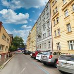 Rent 3 bedroom apartment of 127 m² in Prague
