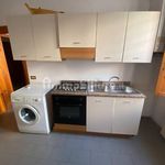 Rent 4 bedroom apartment of 50 m² in Adria