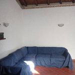 Rent 2 bedroom apartment of 62 m² in Borgo San Lorenzo