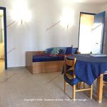 Rent 3 bedroom house of 100 m² in Campofelice di Roccella