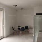 Rent 1 bedroom apartment of 49 m² in Debrecen