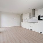Rent 3 bedroom apartment of 78 m² in Binckhorst