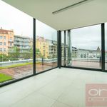 Rent 4 bedroom apartment of 211 m² in Praha