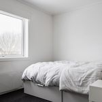 Rent a room of 49 m² in Trondheim