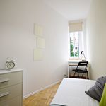 Rent 5 bedroom apartment in Wrocław