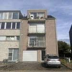 Rent 2 bedroom apartment of 95 m² in Opwijk