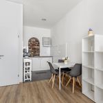 Rent 2 bedroom apartment of 25 m² in Mannheim