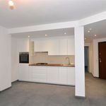 Rent 1 bedroom apartment of 60 m² in Dilbeek