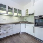 Rent 4 bedroom apartment of 100 m² in Prague
