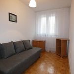 Rent 2 bedroom apartment of 36 m² in Lublin