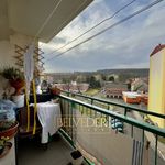 Rent 1 bedroom apartment of 100 m² in Teplice