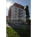 Rent 1 bedroom apartment of 26 m² in České Budějovice