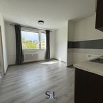 Rent 1 bedroom apartment of 40 m² in Nový Bor